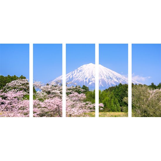 5 részes kép japán vulkán Fuji