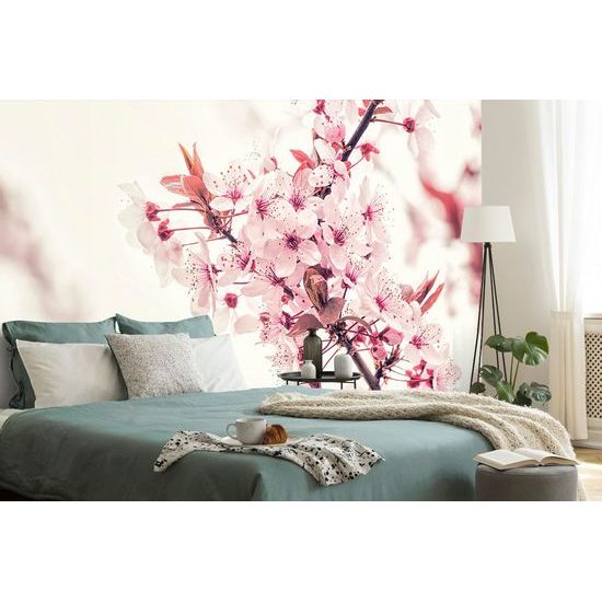 Fotótapéta egy ág rózsaszínes cseresznyevirágról