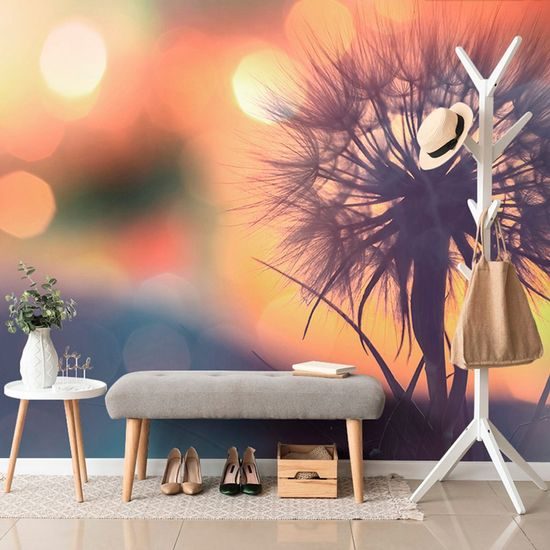 Pitypang tapéta izzó háttérrel