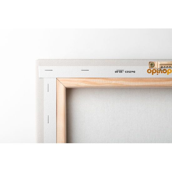 Kép minimalista növénykék boho stílusban