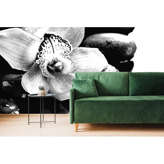 Egy trópusi orchidea fekete-fehérben öntapadó fotótapéta