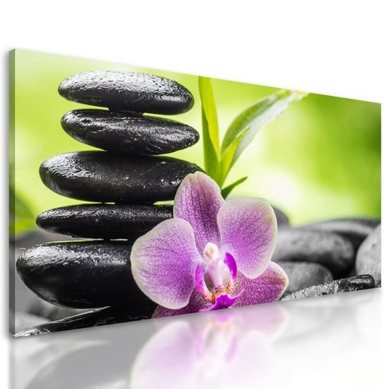 Kép wellness kövek a trópusi természet szívében