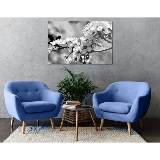 Kép gyönyörű virág fekete-fehér kivitelben