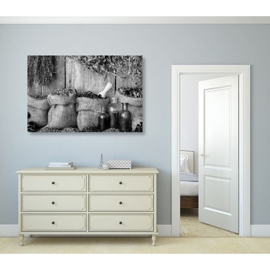 Kép mezei gyógynövények fekete-fehér kivitelben