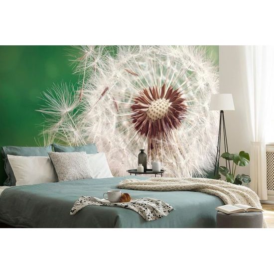 Egyedi öntapadó fotótapéta részletgazdag gyermekláncfű