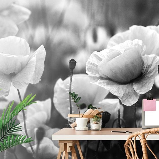 Gyönyörű fekete-fehér öntapadó fotótapéta a pipacsok ölelésében