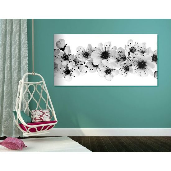 Kép cseresznye virágai fehér háttéren fekete-fehér kivitelben