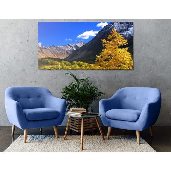 Kép természet egyensúlya