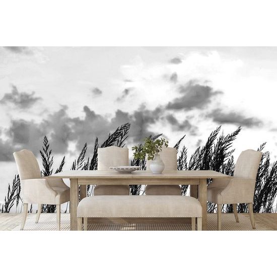 Érdekes fekete-fehér öntapadó fotótapéta fűszálak