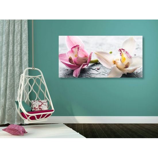 Kép csodálatos színes orchidea virágai