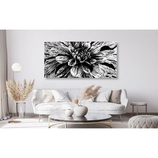 Kép hatalmas dália fekete-fehér kivitelben