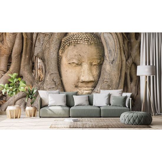 Fotótapéta Buddha a fügefa gyökereiben