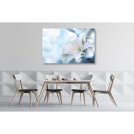 Kép hófehér liliom