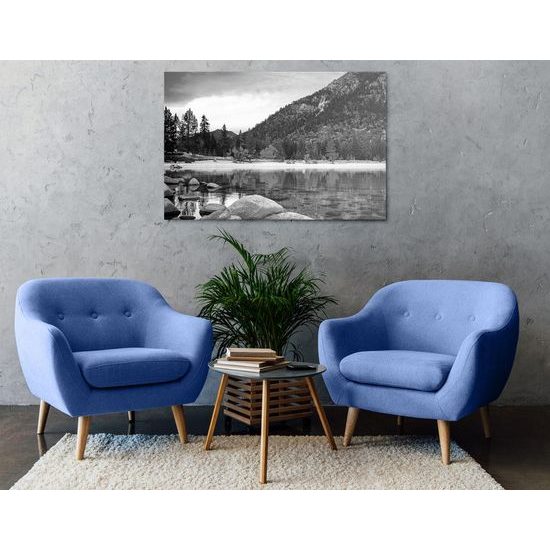 Kép tengerszem fekete-fehér kivitelben