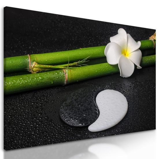 Kép csodálatos bambusz csendélet Jin és Jang szimbólummal