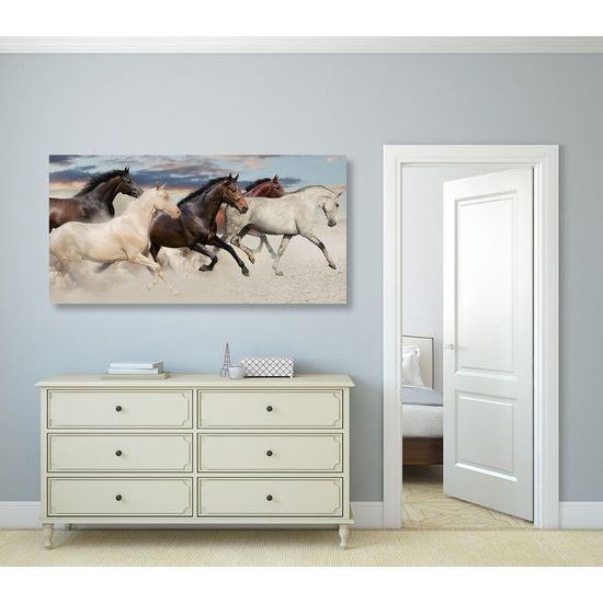 Kép vágtató lovak