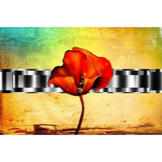 Öntapadó tapéta etnikai pipacs absztrakt alapon