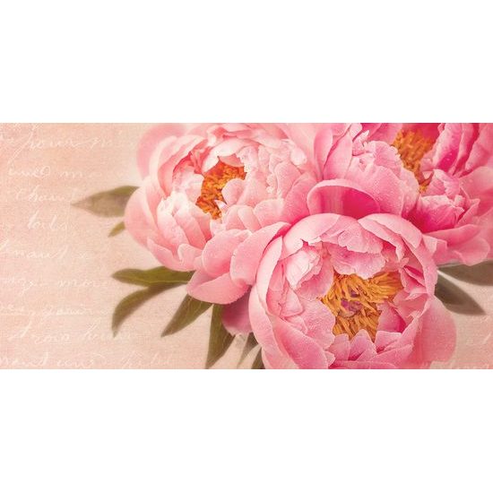 Kép lágy pünkösdi rózsa