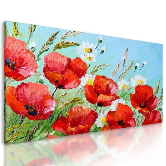 Kép festett pipacsok a réten