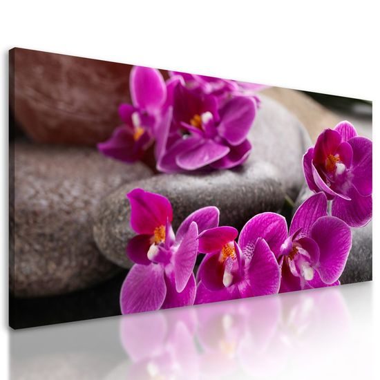 Kép Feng Shui csendélet lila orchideával