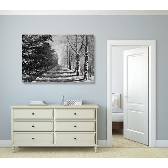 Kép havas sugárút fekete-fehér kivitelben