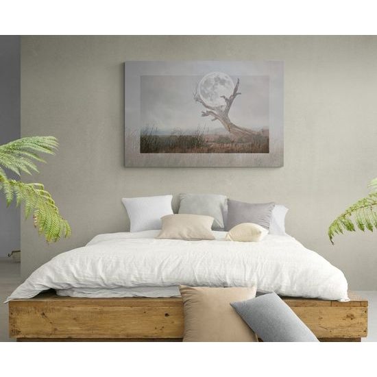 Kép Hold művészi ábrázolása