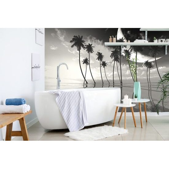 Fekete-fehér egzotikus pálmafák naplementekor öntapadó tapéta