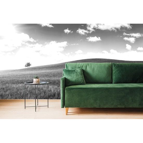 Öntapadó fotótapéta gyönyörű fekete-fehér rét