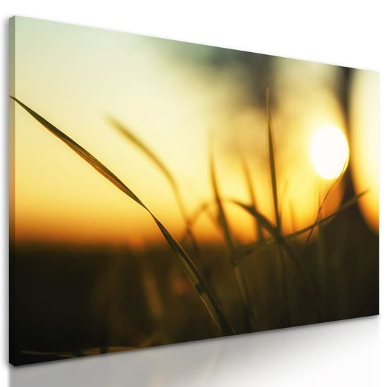 Kép nyári naplemente