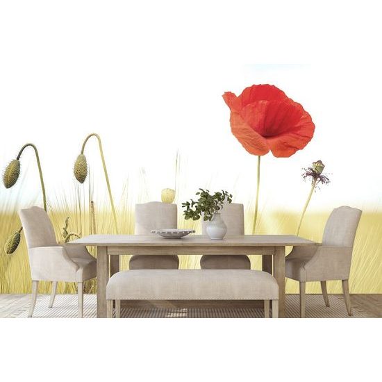 Öntapadó fotótapéta a pipacs élete