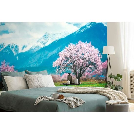 Öntapadó tapéta Sakura a hegyek lábánál