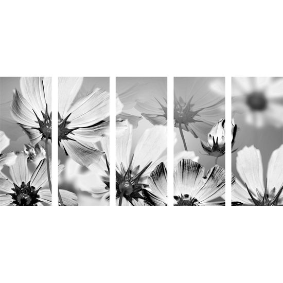 5 részes kép kivirágzott virágokkal teli kert fekete-fehér kivitelben