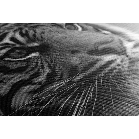 Kép fenséges tigris fekete-fehér kivitelben