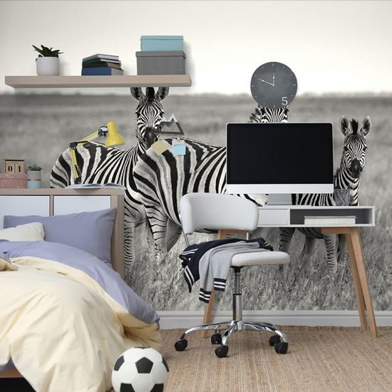 Öntapadó fotótapéta zebra család fekete-fehérben