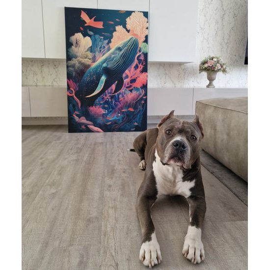 Kép szürreális bálna