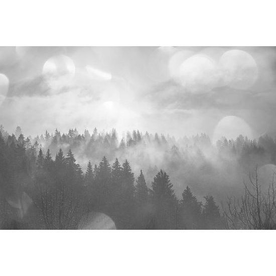 Fotótapéta a reggeli napról az erdő felett fekete-fehérben