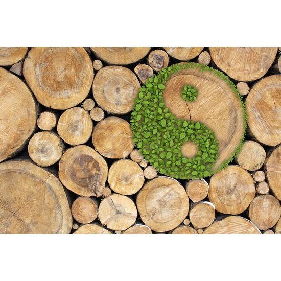 Öntapadó fotótapéta Yin és Yang szimbólum a tuskóba rejtve