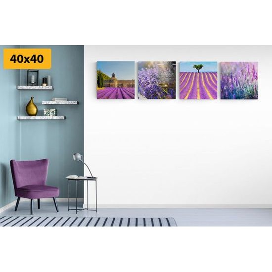 Képszett levendulás szépség