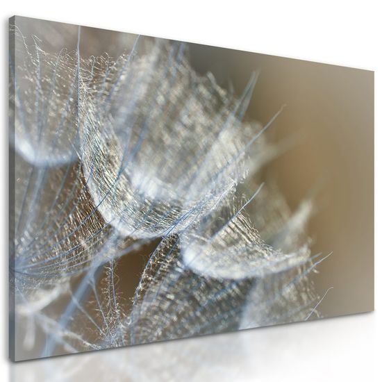 Kép pitypang részletei művészi kivitelben