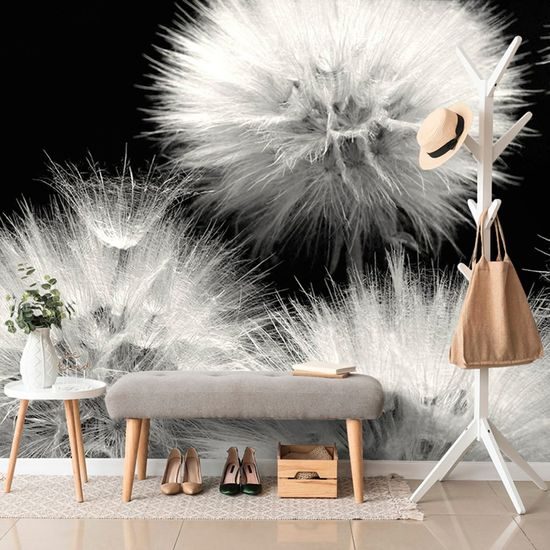 Gyermekláncfű tapéta fekete alapon