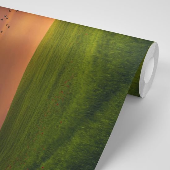 Öntapadó fotótapéta mesebeli rét a lenyugvó nappal