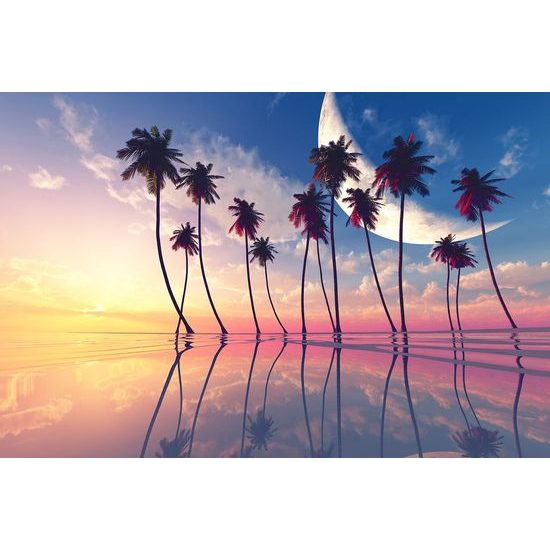 Egzotikus pálmafák naplementekor tapéta