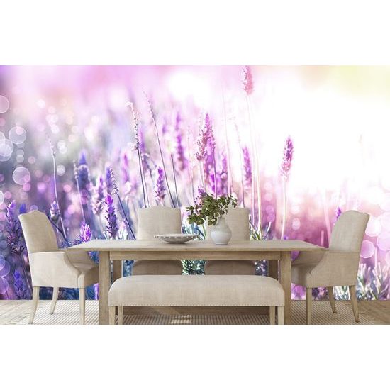 Öntapadó tapéta romantikus levendula