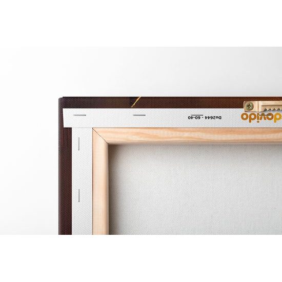 Kép állati gengszter farkas