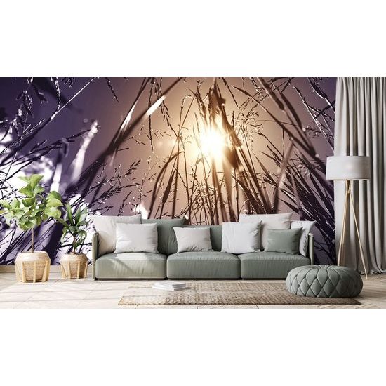 Öntapadó fotótapéta kilátás a napra a fűből