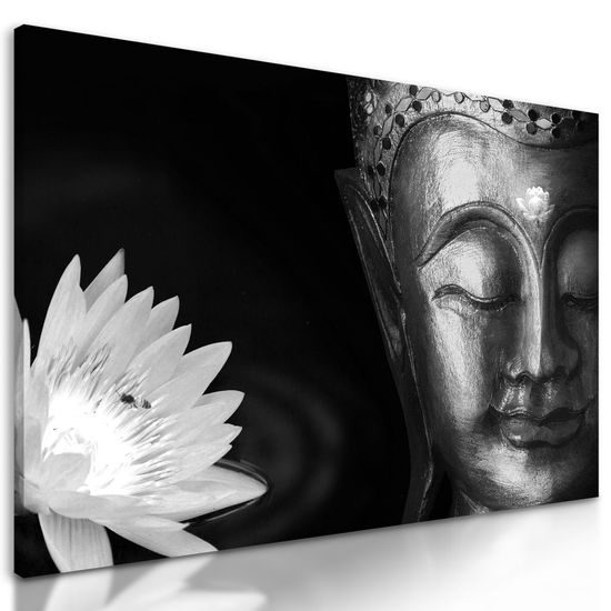 Kép Buddha egyesülése a természettel fekete-fehér kivitelben