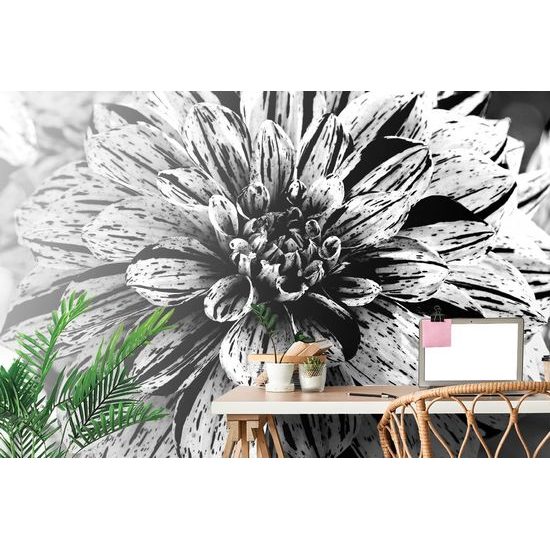 Eredeti öntapadó fotótapéta lenyűgöző dahlia fekete-fehér változatban