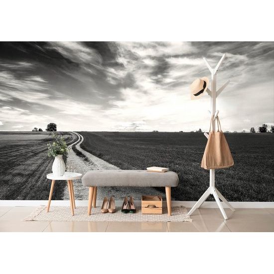 Öntapadó fotótapéta fekete-fehér varázslatos táj