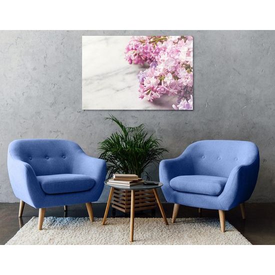 Kép lágy tavaszi virágok