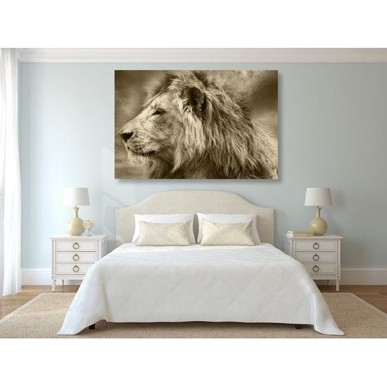 Kép gyönyörű oroszlán szépia kivitelben